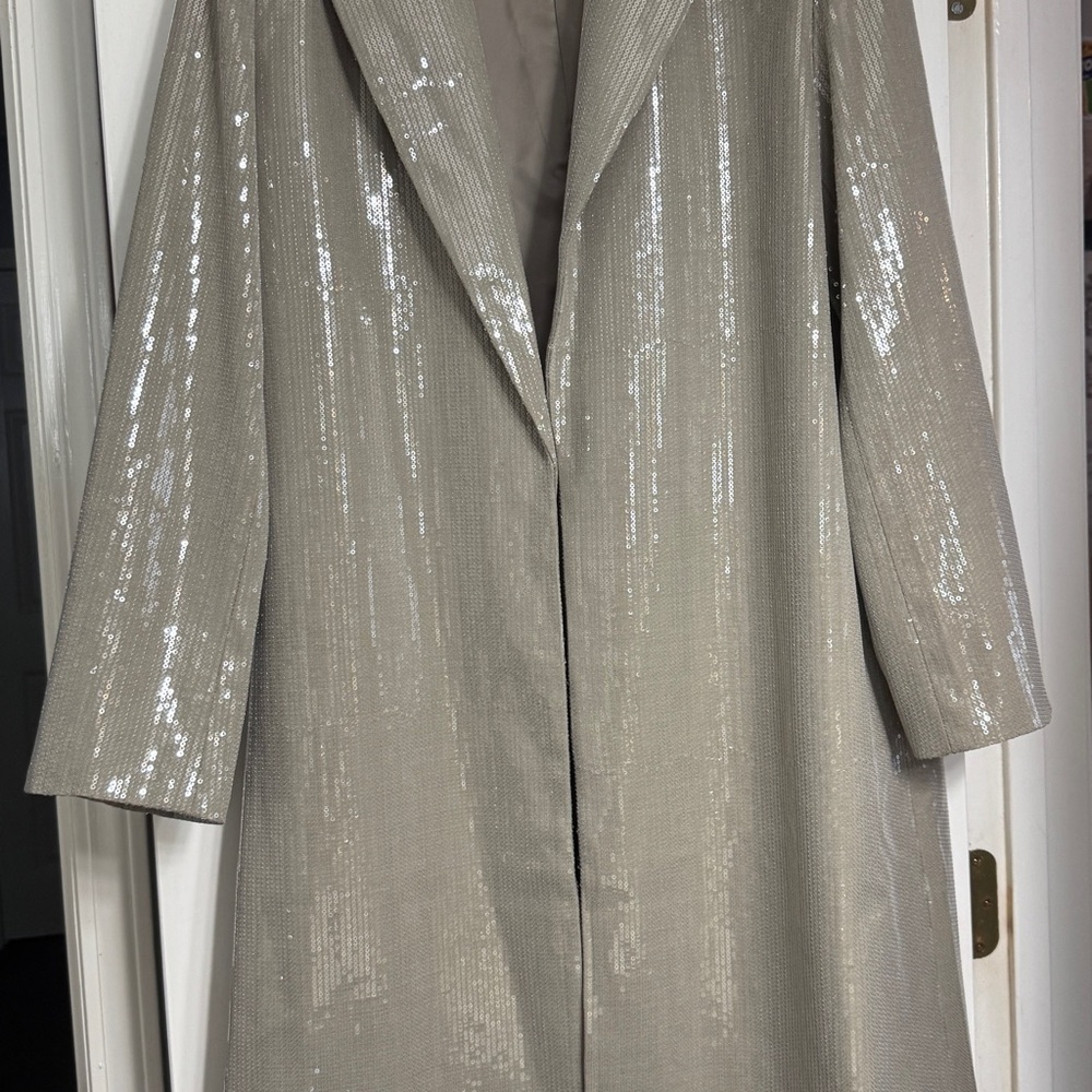 Silver Sequin Trench Coat and Minimalist Design